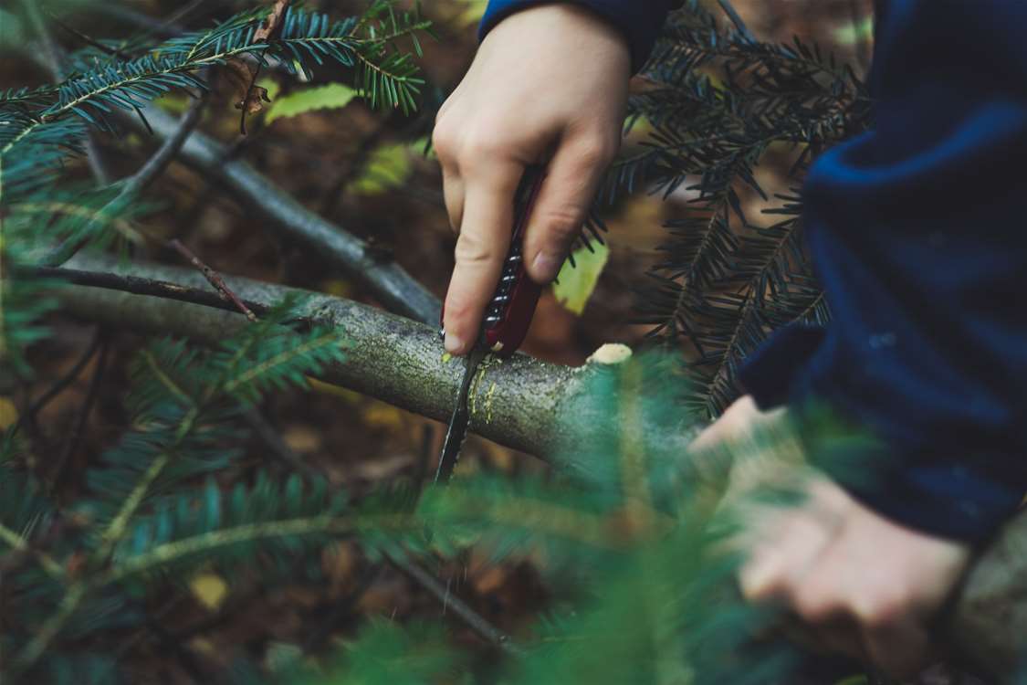 Grafting and Pruning Knives 