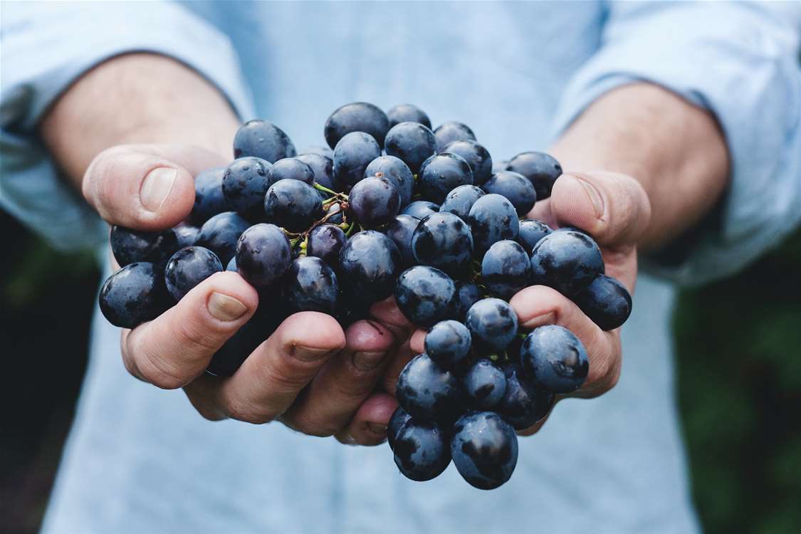 Grape Crusher