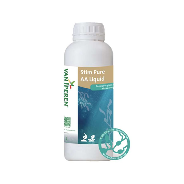 Stim Pure AA Liquid