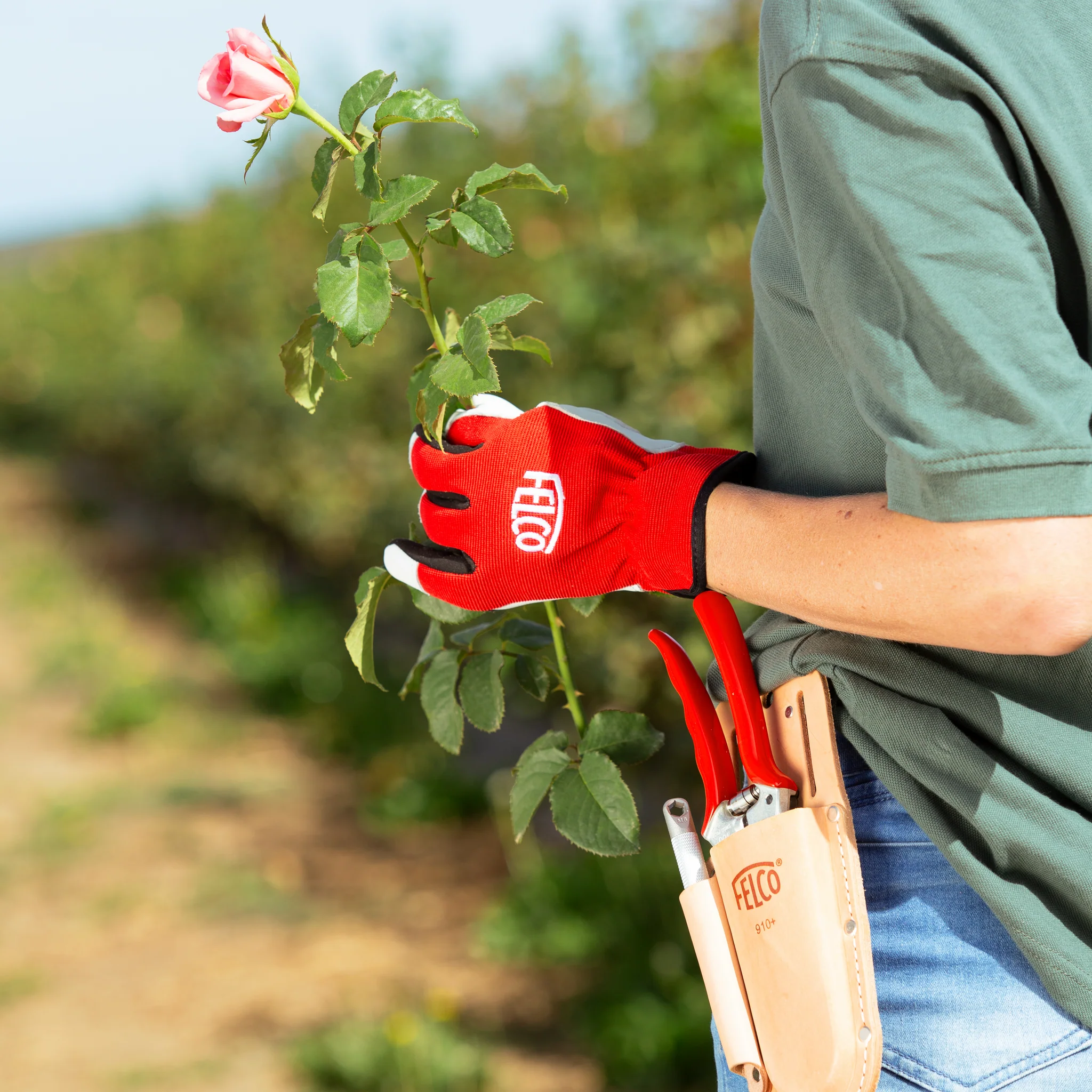 Felco 910+ - Image 3