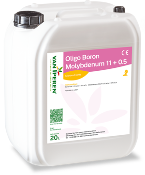 Oligo Boron Molybdenum 11+0.5 Liquid